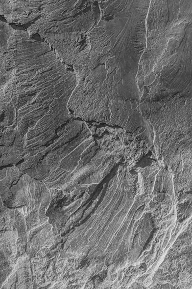 Active Earth Processes