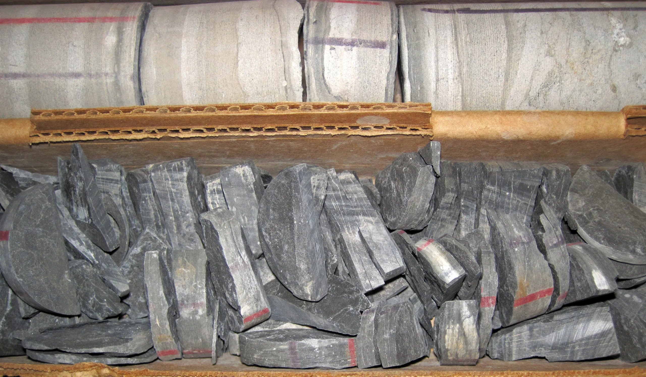 Sections of a rock drill core laid out in their storage tray at a core repository
