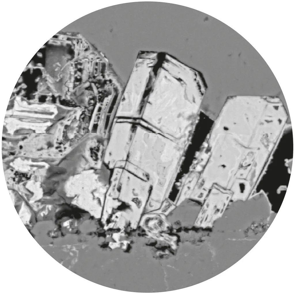 Fotografia dalla gallery del TCS Multi-Scale Laboratories