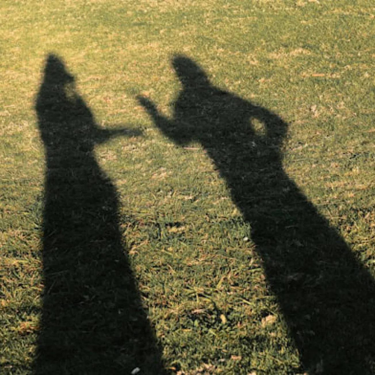 Human Interactions — thematic area